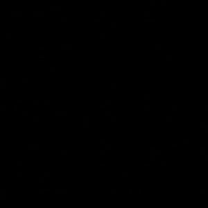 Meet your Posher, Irandy